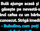 BANC | Bulă se întoarce acasă și descoperă o surpriză neașteptată