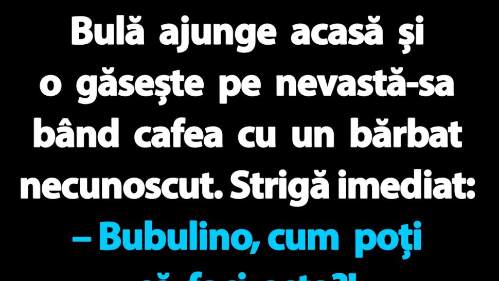 BANC | Bulă se întoarce acasă și descoperă o surpriză neașteptată
