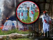 „Riscăm să murim cu toții!” Situație fără precedent din cauza Ebola în Congo