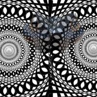 Iluzie optică fascinantă | Doar 1 din 100 de persoane reușește să descopere animalul ascuns!