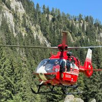 Bărbat de 34 de ani, decedat în județul Sibiu, atacat „cel mai probabil de un urs”
