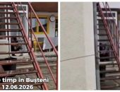 Imagini de groază: Un urs a pătruns în casa unei familii din Bușteni!