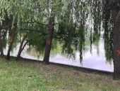 De ce Primăria Capitalei a marcat copacii de pe malul Lacului Herăstrău cu X și 0